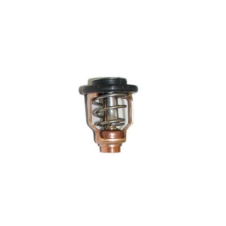 Thermostat-13.5/15 HP 4-stroke. Original: 855676003