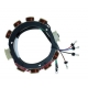 Stator 115 130 & 150 pk yamaha buitenboordmotor. Origineel: 6E5-85510-10﻿,  6E5-85510-11 