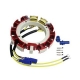 Stator Johnson/Evinrude 200 HP 86,87, 275 HP 3, 6 l, 6 l, hp 300 3 86,87 86,87, 3, 582847, 583117, 8cil original 87 : 6 l 583670