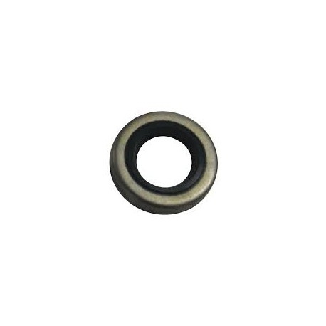 NR21-Oil seal 321481