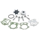 Compleet waterpomp kit Yamaha 60 pk model E60  (bouwjaar 2000)