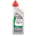 Castrol outboard 2-takt Marine (1 Liter) Professional. BETER DAN ORIGINELE OLIE!