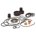 Johnson & Evinrude (OMC) Complete Gear case Seal Kit