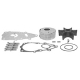 Compléter le kit de pompe à eau Yamaha VZ200/VZ300 VZ250/VZ225/HP (construit en 2005) produit ne : 60 x-W0078-00