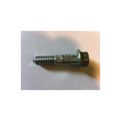 Short Bolt