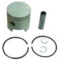 Standard Piston 40 HP through 60 HP. Original: 5006655, 391798, 391170, 322188, 317831, (SIE18-4125)