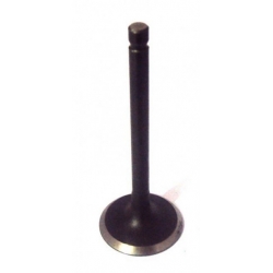 66 m-12111-00 intake valve Yamaha outboard