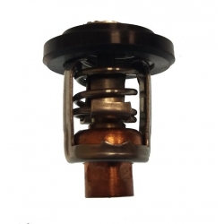 66 m-12411-01 thermostat Yamaha outboard