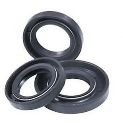 Oil Seal mercure