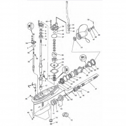 Les modèles V4 Yamaha