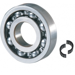 Crankshaft Bearings Johnson