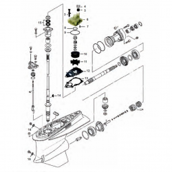 FL/F225 - FL/F250